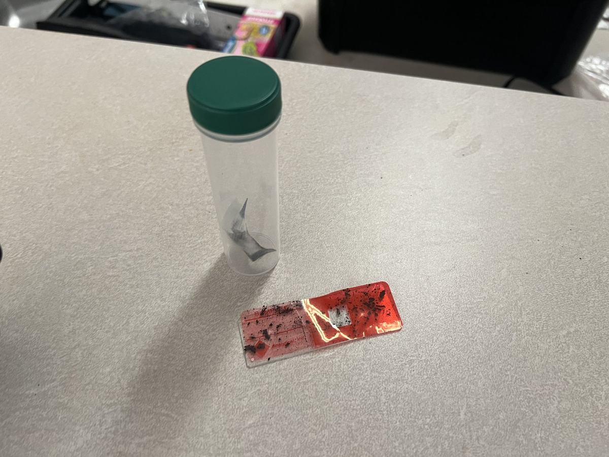 Sealed sample vial and slide