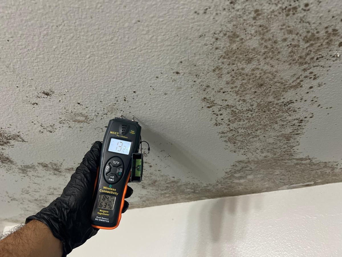 Moisture reading on a stained ceiling